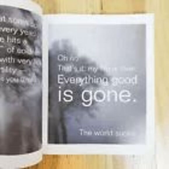 How to Be Happy Dammit:A Cynics Guide to Spiritual Happiness by Karen Salmansohn - Picture 4 of 4